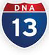 dna13