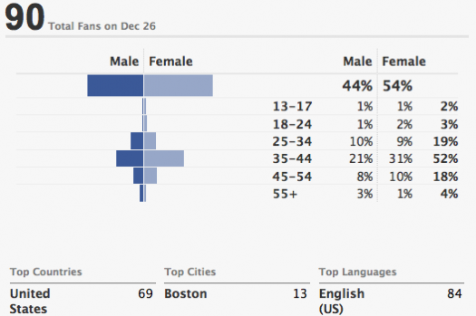 Facebook-Page-Demographics