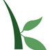 kiva logo