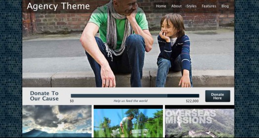 Agency WordPress theme for nonprofits