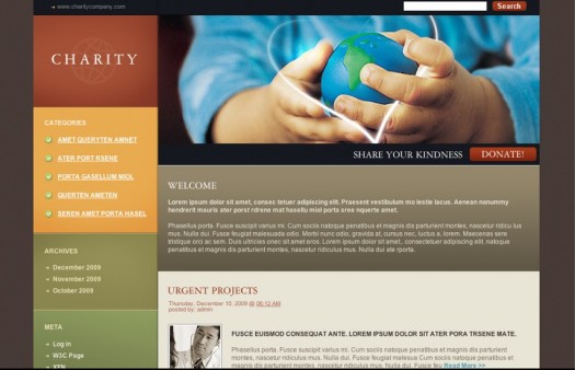 Charity wordpress theme