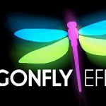 Dragonfly-Effect-blog