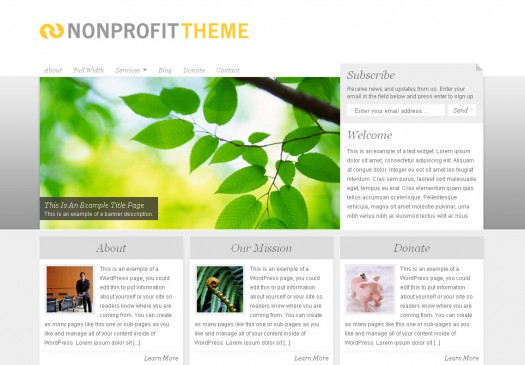 nonprofit-theme