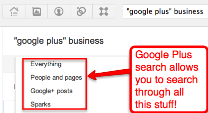 search-GooglePlus