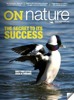 On-Nature