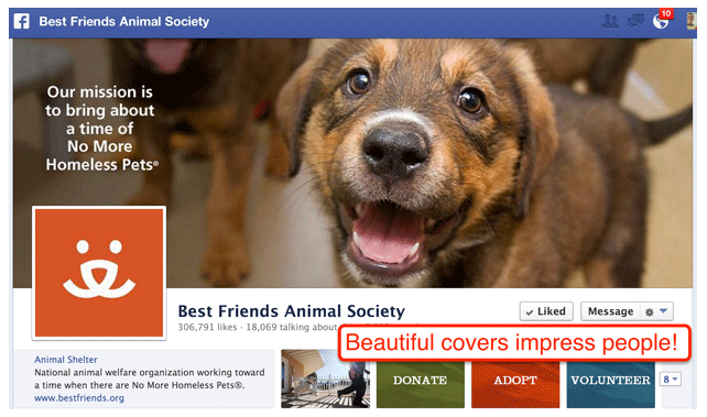 Animal Society